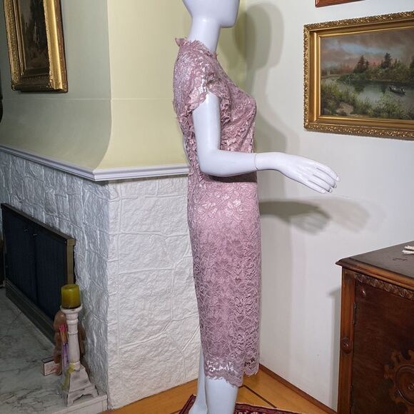 En Focus Pink Lace Sheath Dress - Picture 4 of 13